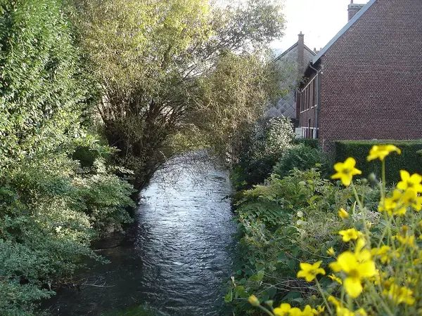 Abri Piscine Coulissant Devis abri de piscine Déville-lès-Rouen