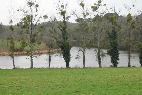 Abri Piscine Coulissant Devis abri de piscine Muzillac