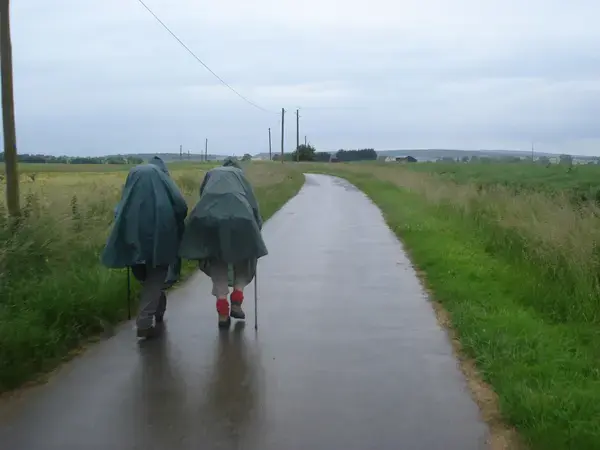 Abri Piscine Coulissant Devis abri de piscine Saint-Martin-des-Champs
